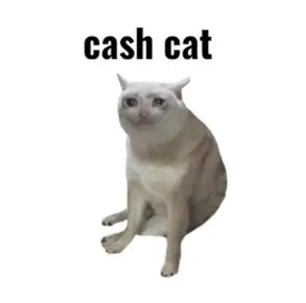 Cash Cat — original image