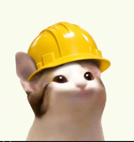 mine cat — original image