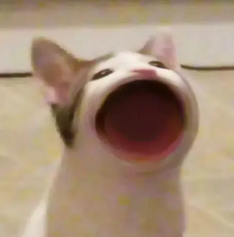 POP CAT — original image